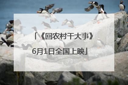 《回农村干大事》6月1日全国上映