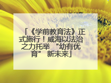 《学前教育法》正式施行！威海以法治之力托举 “幼有优育” 新未来