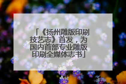 《扬州雕版印刷技艺志》首发，为国内首部专业雕版印刷全媒体志书