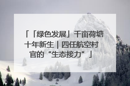 「绿色发展」千亩荷塘 十年新生｜四任航空村官的“生态接力”