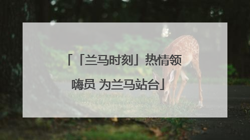 「兰马时刻」热情领嗨员 为兰马站台