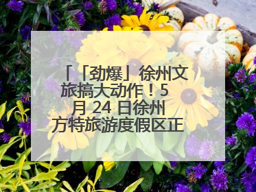 「劲爆」徐州文旅搞大动作！5 月 24 日徐州方特旅游度假区正式启幕，开启淮海旅游新篇章