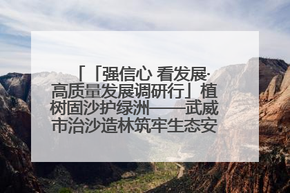 「强信心 看发展·高质量发展调研行」植树固沙护绿洲——武威市治沙造林筑牢生态安全屏障见闻