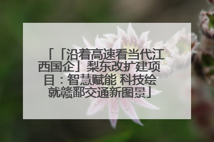 「沿着高速看当代江西国企」梨东改扩建项目：智慧赋能 科技绘就赣鄱交通新图景