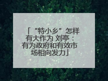 “特小乡”怎样有大作为 刘亭：有为政府和有效市场相向发力