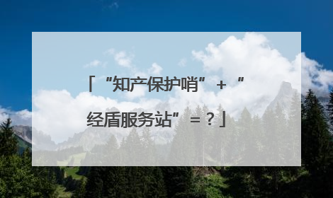 “知产保护哨”+“经盾服务站”=？