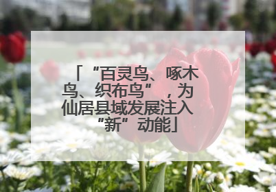 “百灵鸟、啄木鸟、织布鸟”，为仙居县域发展注入“新”动能