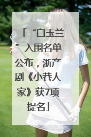 “白玉兰”入围名单公布，浙产剧《小巷人家》获7项提名