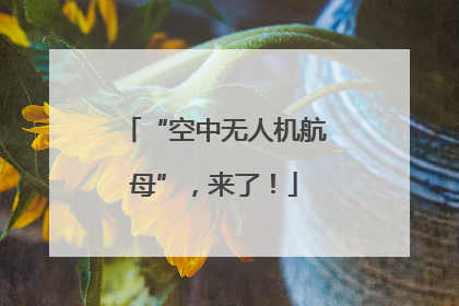 “空中无人机航母”，来了！
