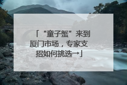 “童子蟹”来到厦门市场，专家支招如何挑选→
