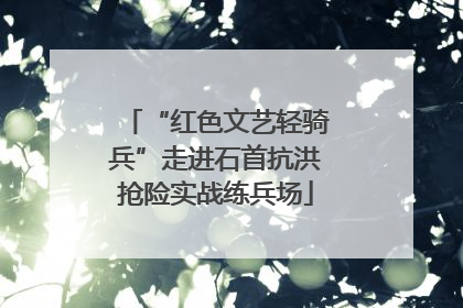 “红色文艺轻骑兵”走进石首抗洪抢险实战练兵场