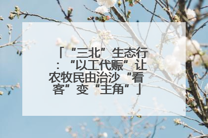 “三北”生态行：“以工代赈”让农牧民由治沙“看客”变“主角”