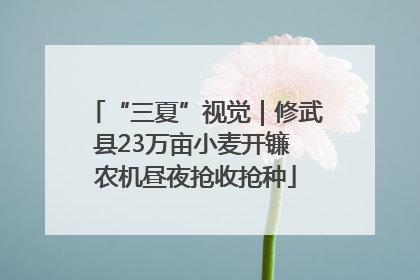 “三夏”视觉｜修武县23万亩小麦开镰 农机昼夜抢收抢种