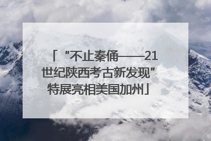 “不止秦俑——21世纪陕西考古新发现”特展亮相美国加州