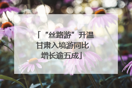 “丝路游”升温 甘肃入境游同比增长逾五成