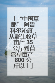 “中国草都” 阿鲁科尔沁旗：从野生牧草亩产 35 公斤到苜蓿草亩产 800 公斤以上