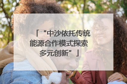 “中沙依托传统能源合作模式探索多元创新”