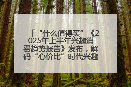 “什么值得买”《2025年上半年兴趣消费趋势报告》发布，解码“心价比”时代兴趣消费新范式