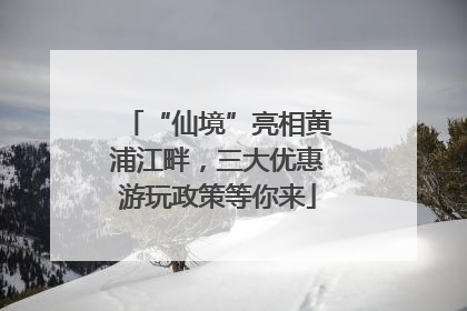 “仙境”亮相黄浦江畔，三大优惠游玩政策等你来