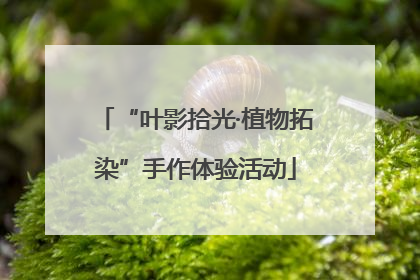 “叶影拾光·植物拓染”手作体验活动