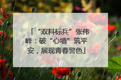 “双料标兵”张伟峰：破“心墙”筑平安，展现青春警色