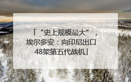 “史上规模最大”，埃尔多安：向印尼出口48架第五代战机