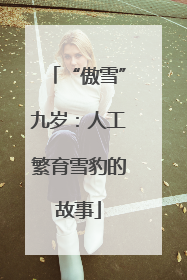 “傲雪”九岁：人工繁育雪豹的故事