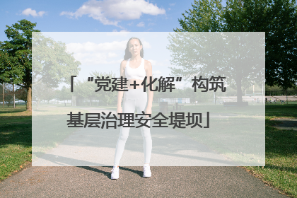 “党建+化解”构筑基层治理安全堤坝