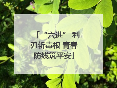 “六进” 利刃斩毒根 青春防线筑平安