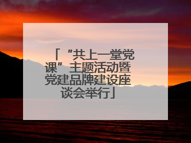 “共上一堂党课”主题活动暨党建品牌建设座谈会举行