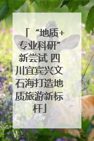 “地质+专业科研”新尝试 四川宜宾兴文石海打造地质旅游新标杆