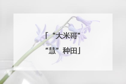 “大米哥”“慧”种田