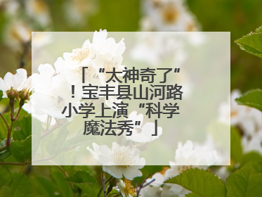 “太神奇了”！宝丰县山河路小学上演“科学魔法秀”