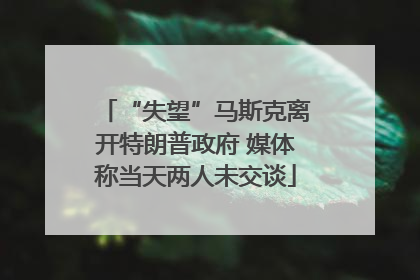 “失望”马斯克离开特朗普政府 媒体称当天两人未交谈
