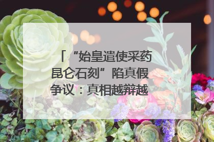 “始皇遣使采药昆仑石刻”陷真假争议：真相越辩越明｜新京报专栏