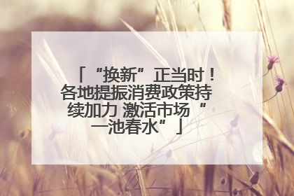 “换新”正当时！各地提振消费政策持续加力 激活市场“一池春水”