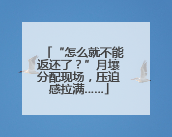 “怎么就不能返还了？”月壤分配现场，压迫感拉满……