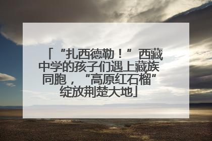 “扎西德勒！”西藏中学的孩子们遇上藏族同胞，“高原红石榴”绽放荆楚大地