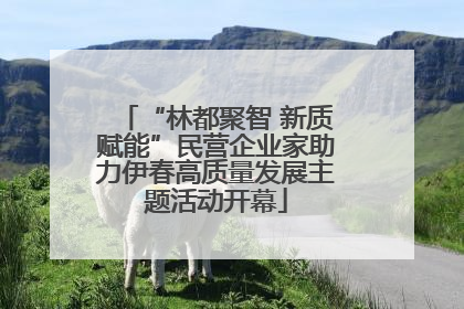 “林都聚智 新质赋能”民营企业家助力伊春高质量发展主题活动开幕