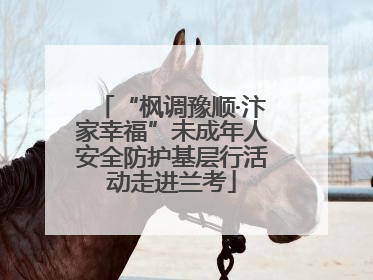 “枫调豫顺·汴家幸福”未成年人安全防护基层行活动走进兰考