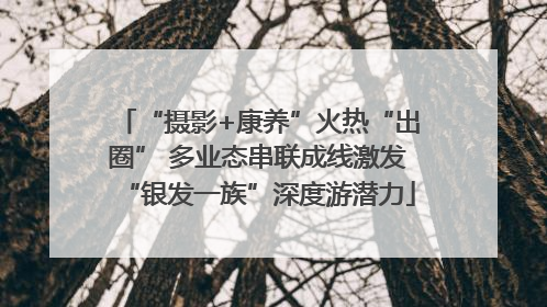 “摄影+康养”火热“出圈” 多业态串联成线激发“银发一族”深度游潜力