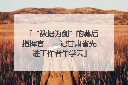 “数据为剑”的幕后指挥官——记甘肃省先进工作者牛学云
