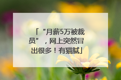 “月薪5万被裁员”，网上突然冒出很多！有猫腻