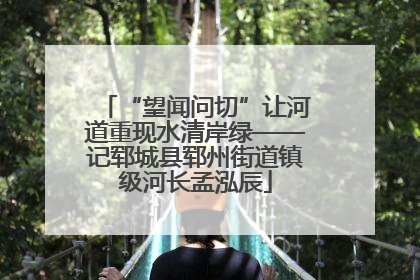 “望闻问切”让河道重现水清岸绿——记郓城县郓州街道镇级河长孟泓辰