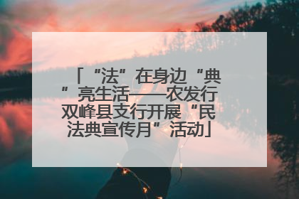 “法”在身边“典”亮生活——农发行双峰县支行开展“民法典宣传月”活动