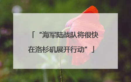 “海军陆战队将很快在洛杉矶展开行动”