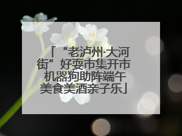 “老泸州·大河街”好耍市集开市 机器狗助阵端午美食美酒亲子乐