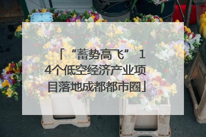 “蓄势高飞” 14个低空经济产业项目落地成都都市圈