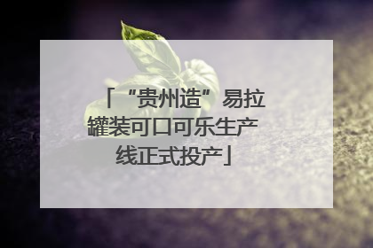 “贵州造”易拉罐装可口可乐生产线正式投产