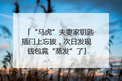“马虎”夫妻家钥匙插门上忘拔，次日发现钱包竟“蒸发”了